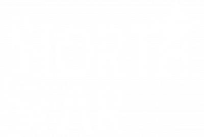 North Star White Logo